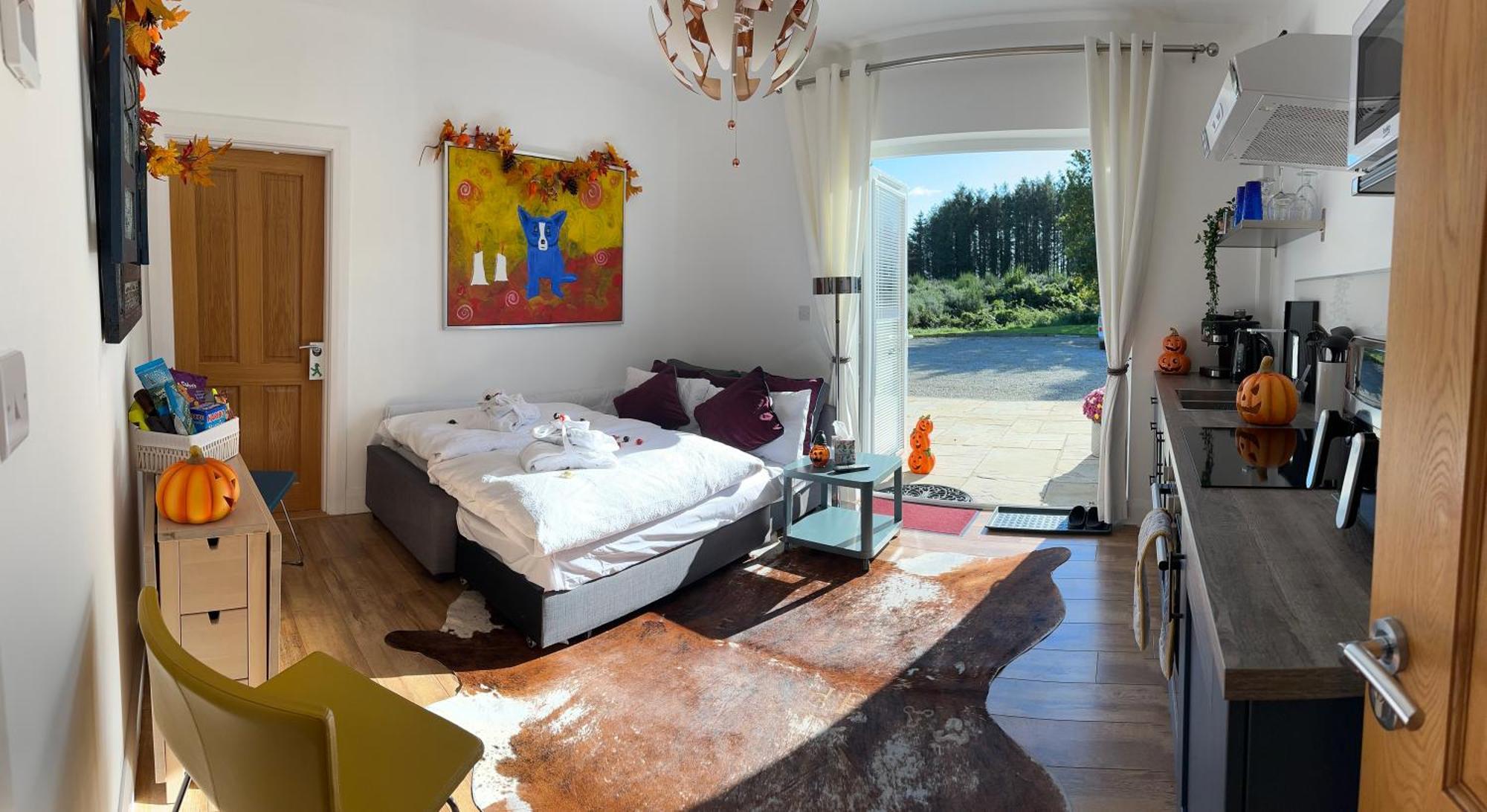 Forest Path Luxury Studio Apartment With Large Bedroom Bathroom And Sauna Sleeps Up To 4 Ballynahinch エクステリア 写真