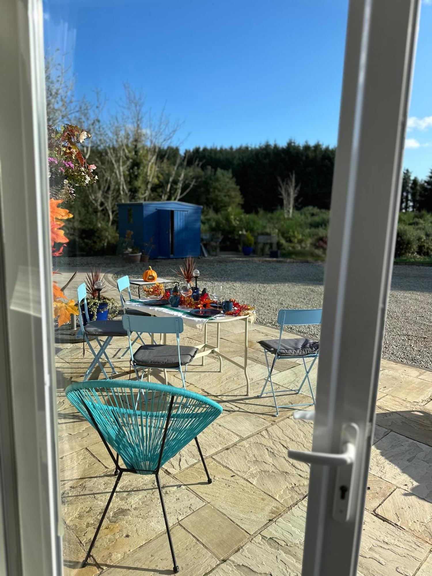 Forest Path Luxury Studio Apartment With Large Bedroom Bathroom And Sauna Sleeps Up To 4 Ballynahinch エクステリア 写真