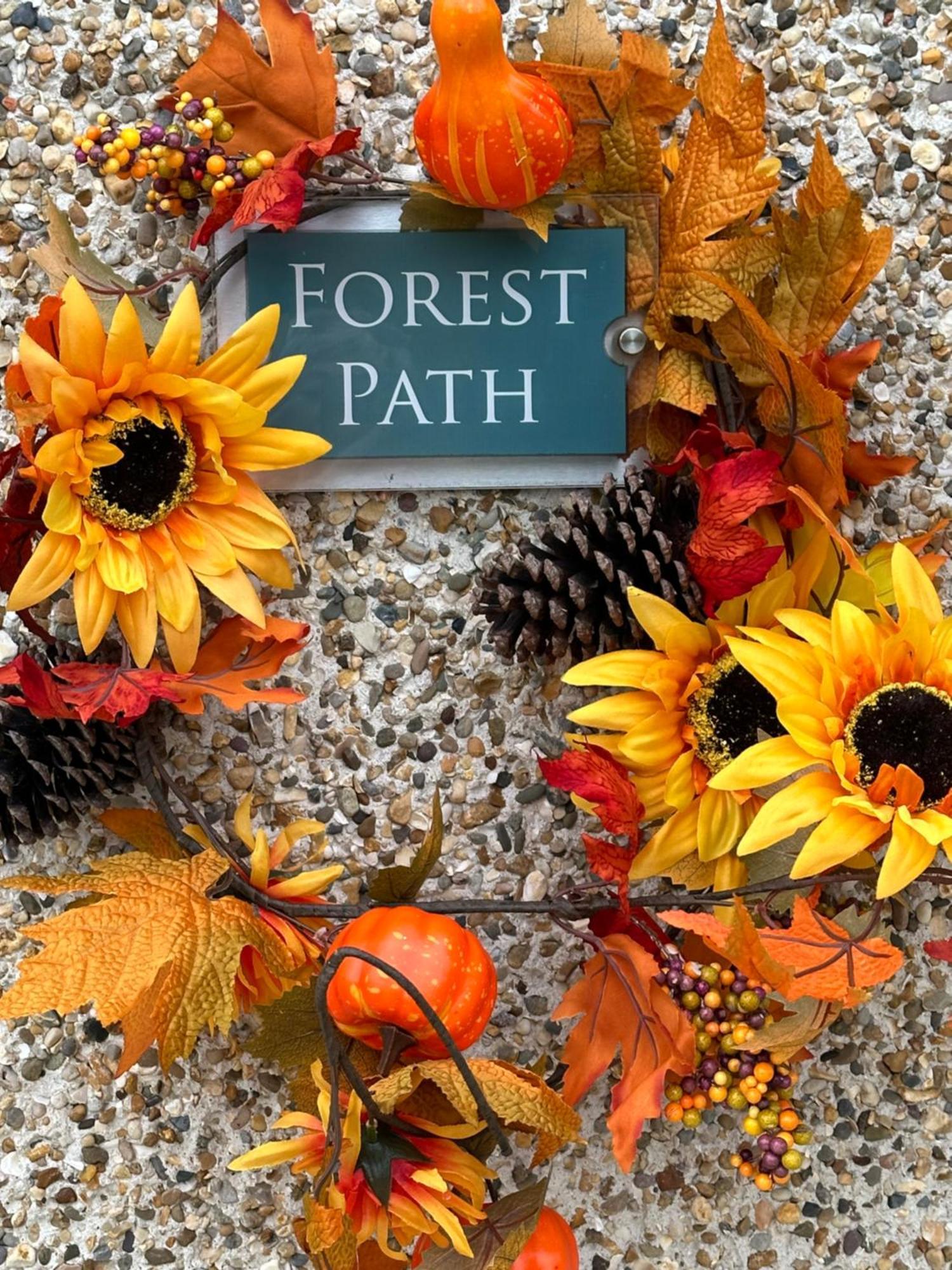 Forest Path Luxury Studio Apartment With Large Bedroom Bathroom And Sauna Sleeps Up To 4 Ballynahinch エクステリア 写真