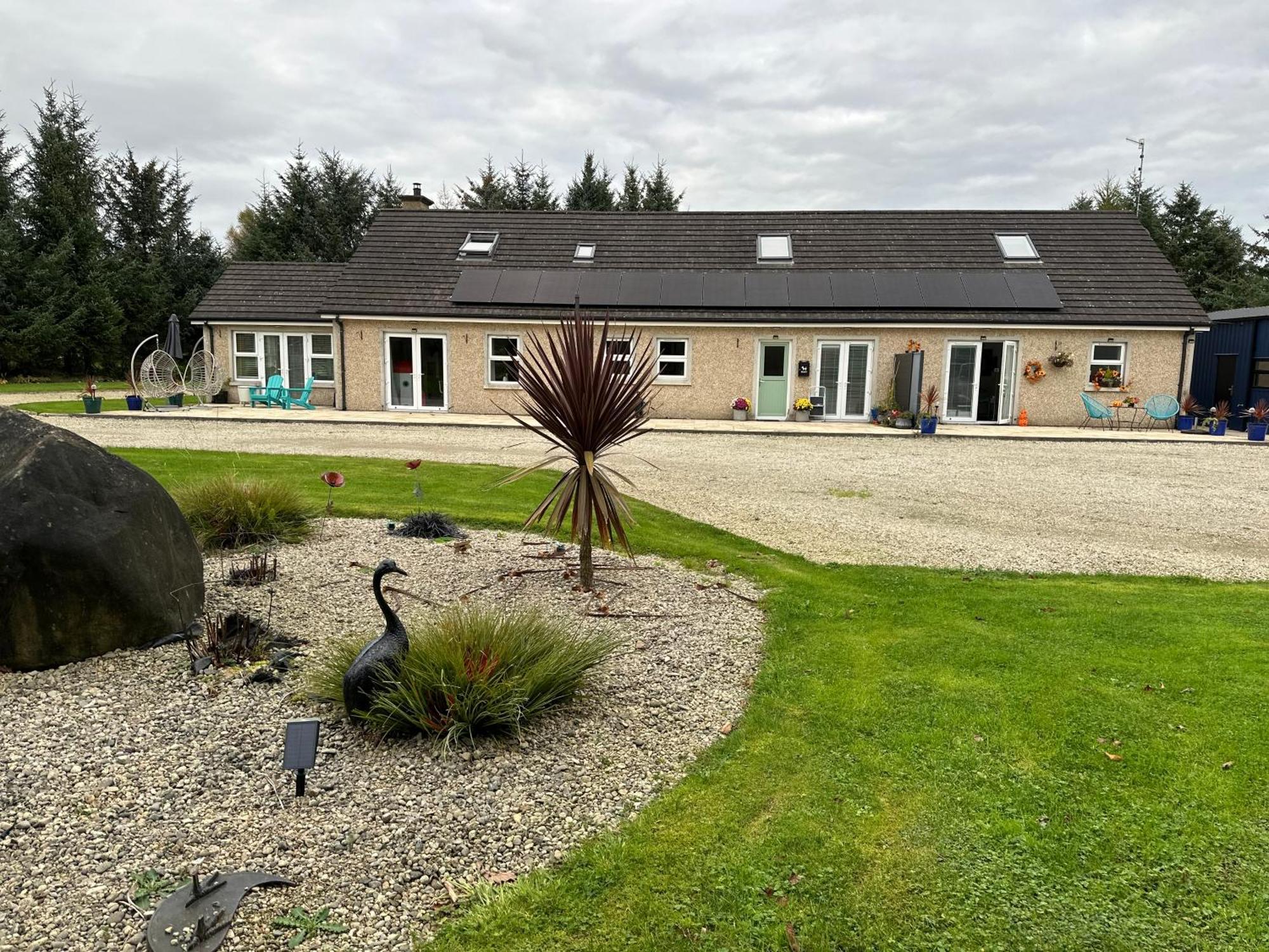 Forest Path Luxury Studio Apartment With Large Bedroom Bathroom And Sauna Sleeps Up To 4 Ballynahinch エクステリア 写真